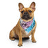 Transgender Pride Waves Bandana